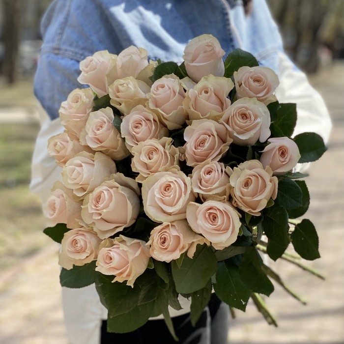 Роза Помароса 60 см