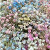Радужная гипсофила в шляпной коробке