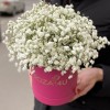 Белая гипсофила в коробке