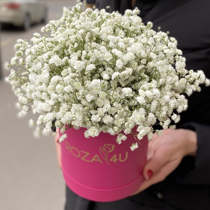 Белая гипсофила в коробке