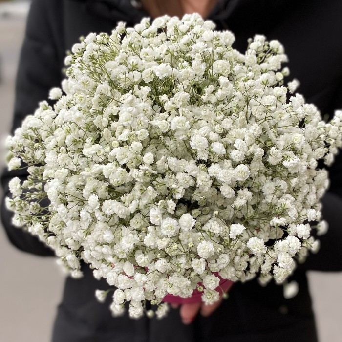 Белая гипсофила в коробке