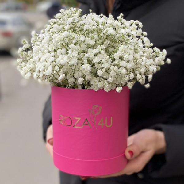 Белая гипсофила в коробке