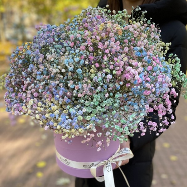 Коробка с радужной гипсофилой