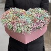 Сердце с радужной гипсофилой