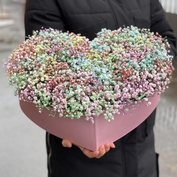 Сердце с радужной гипсофилой