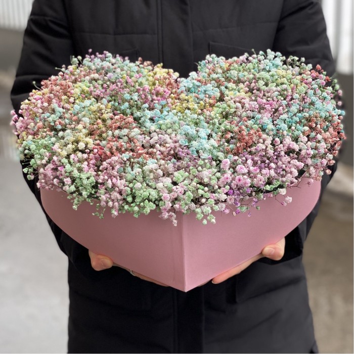 Сердце с радужной гипсофилой