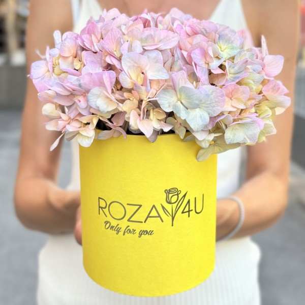 Радужная гортензия в коробке