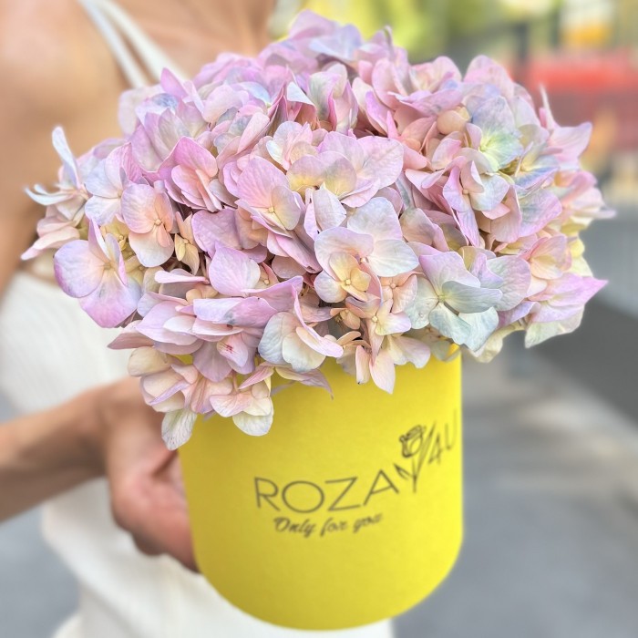 Радужная гортензия в коробке