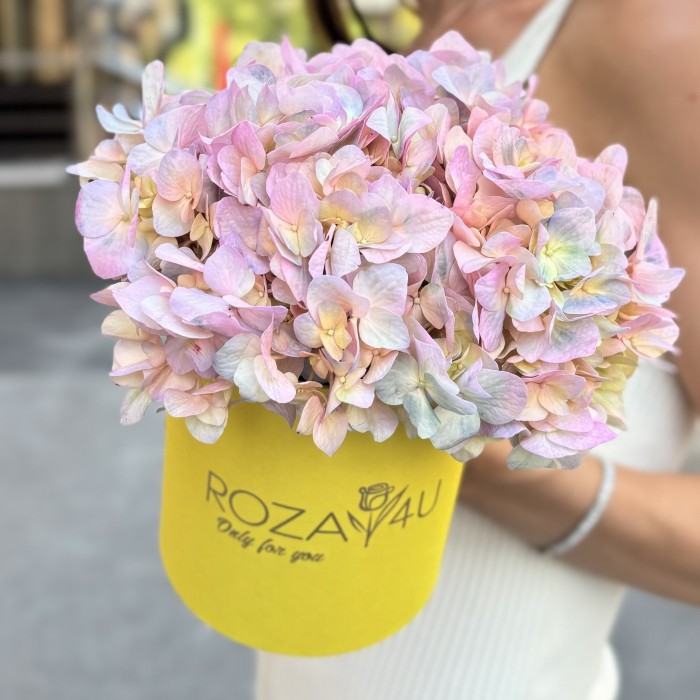 Радужная гортензия в коробке