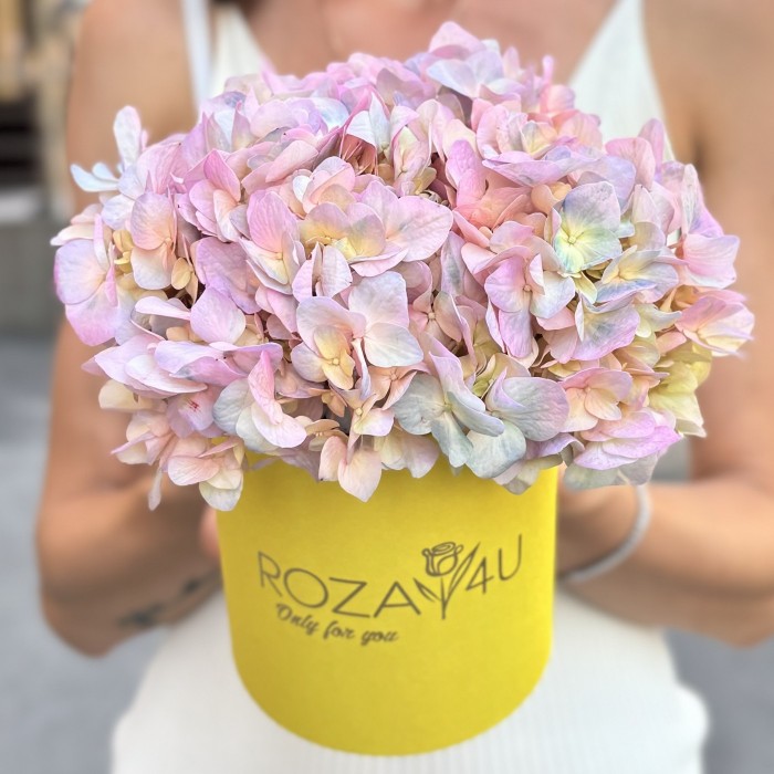 Радужная гортензия в коробке