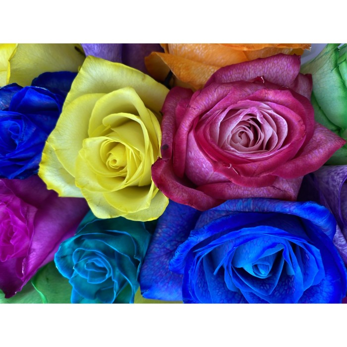 Радужные розы в шляпной коробке