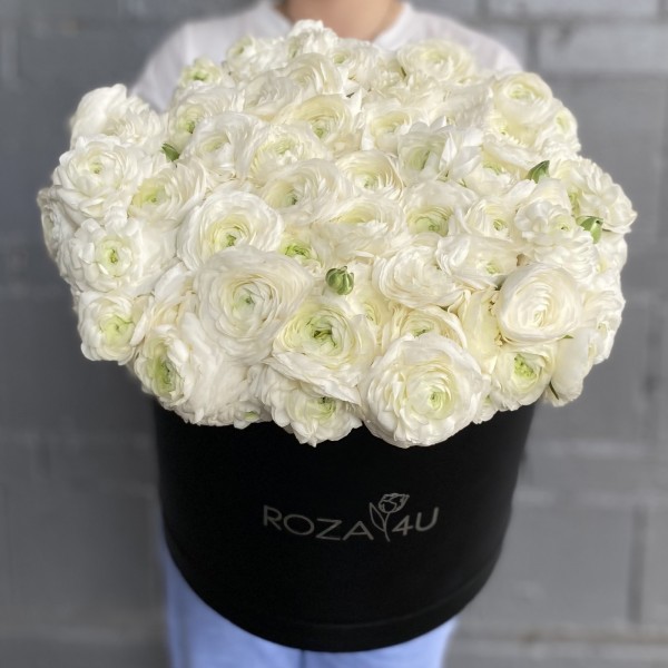 101 белый ранункулюс в коробке