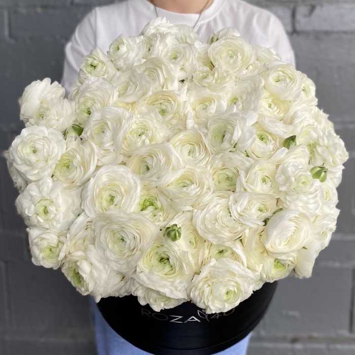 101 белый ранункулюс в коробке