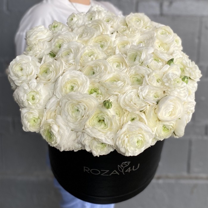 101 белый ранункулюс в коробке