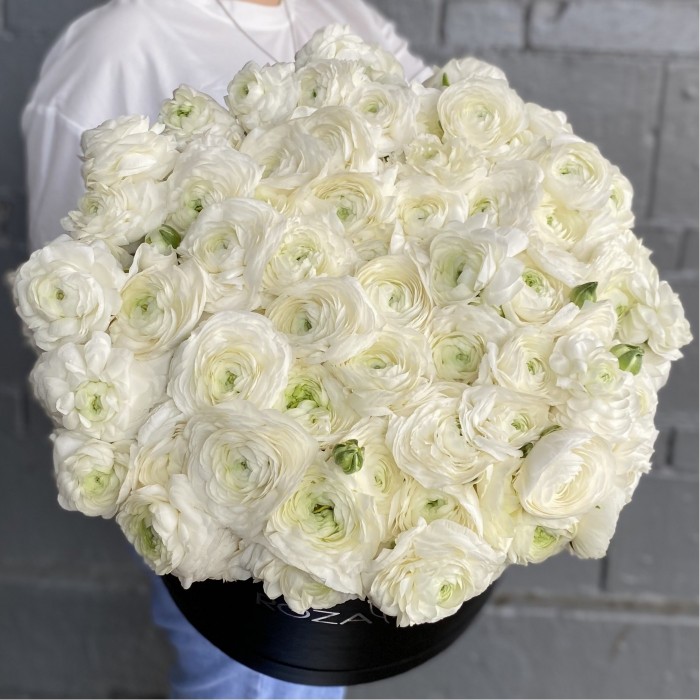 101 белый ранункулюс в коробке