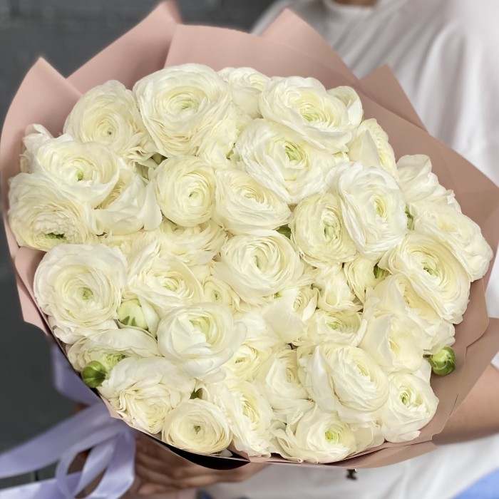 51 белый ранункулюс