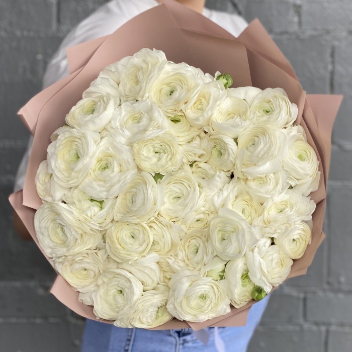 51 белый ранункулюс