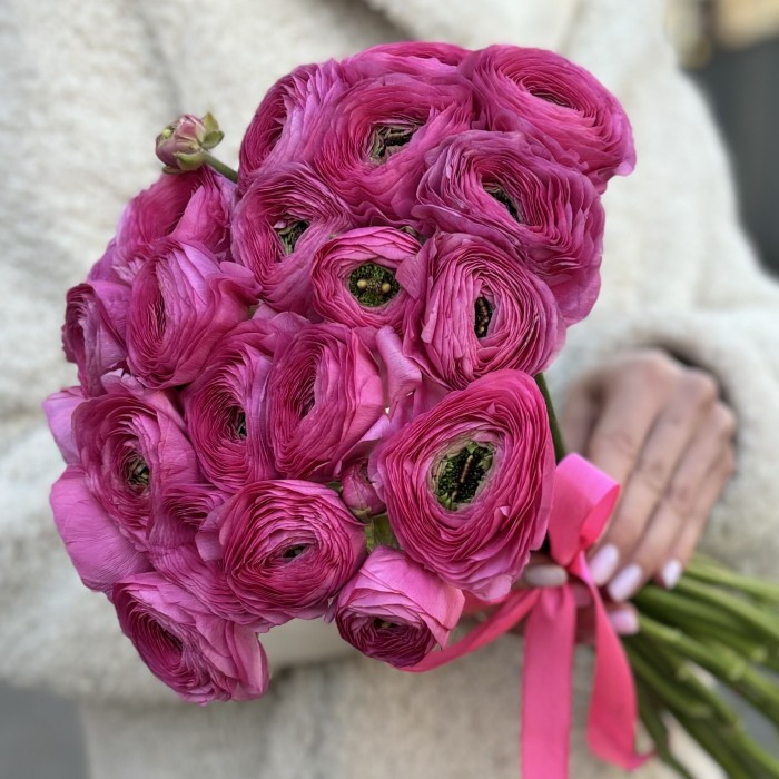 Ранункулюс малиновый