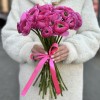 Ранункулюс малиновый