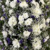 Траурный венок из живых цветов 160 см. № 50