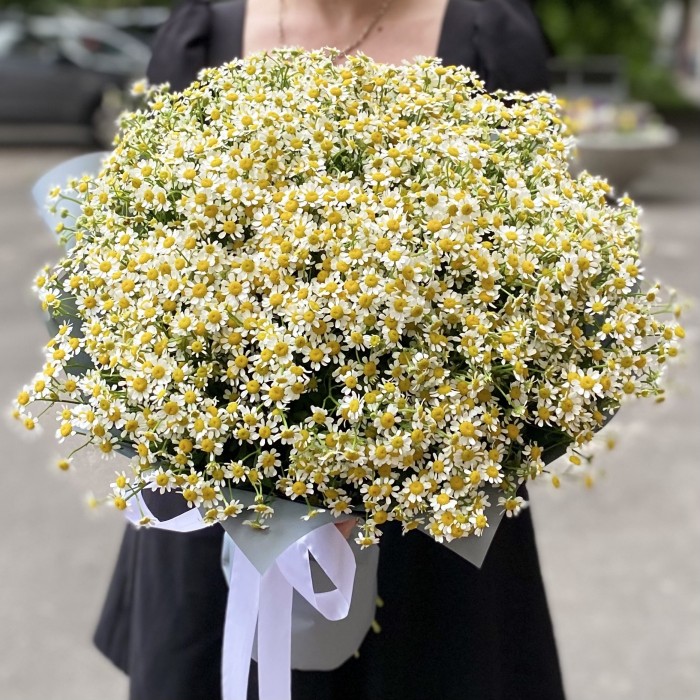 Букет из 51 ромашки