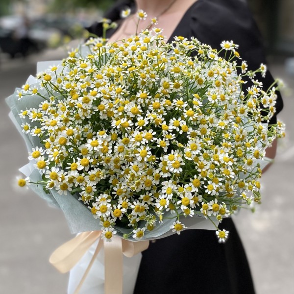 Букет из 15 ромашек
