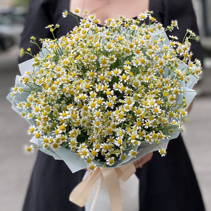 Букет из 15 ромашек