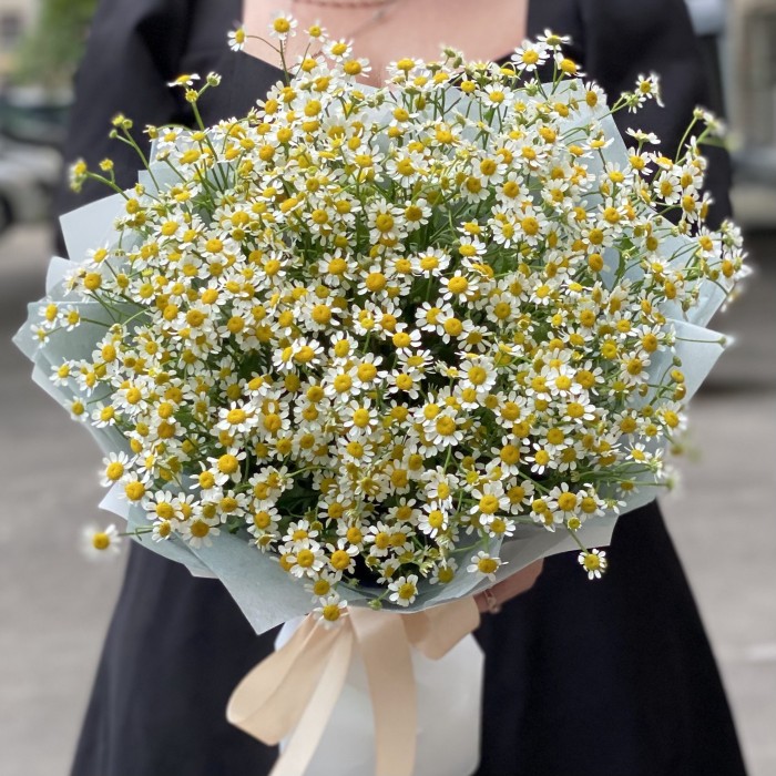 Букет из 15 ромашек