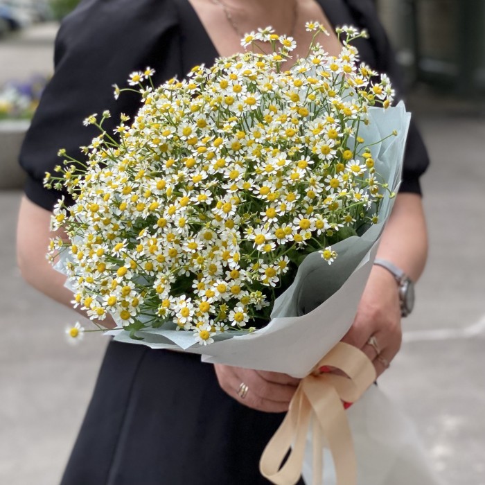 Букет из 15 ромашек