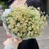 Букет из 15 ромашек