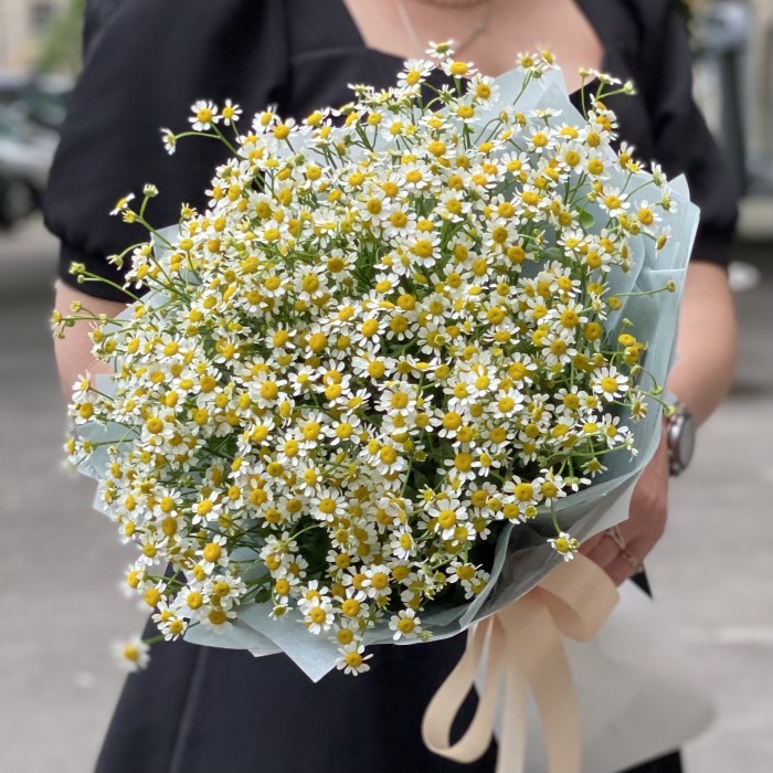 Букет из 15 ромашек