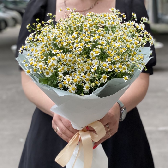Букет из 15 ромашек