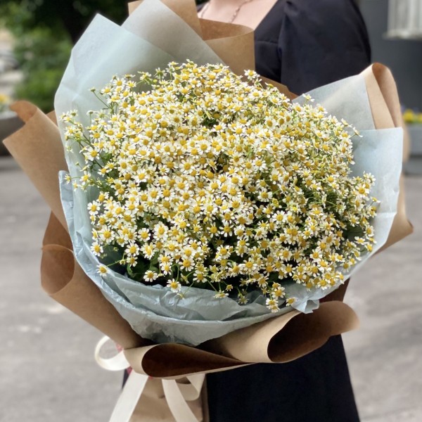 Букет из 25 ромашек