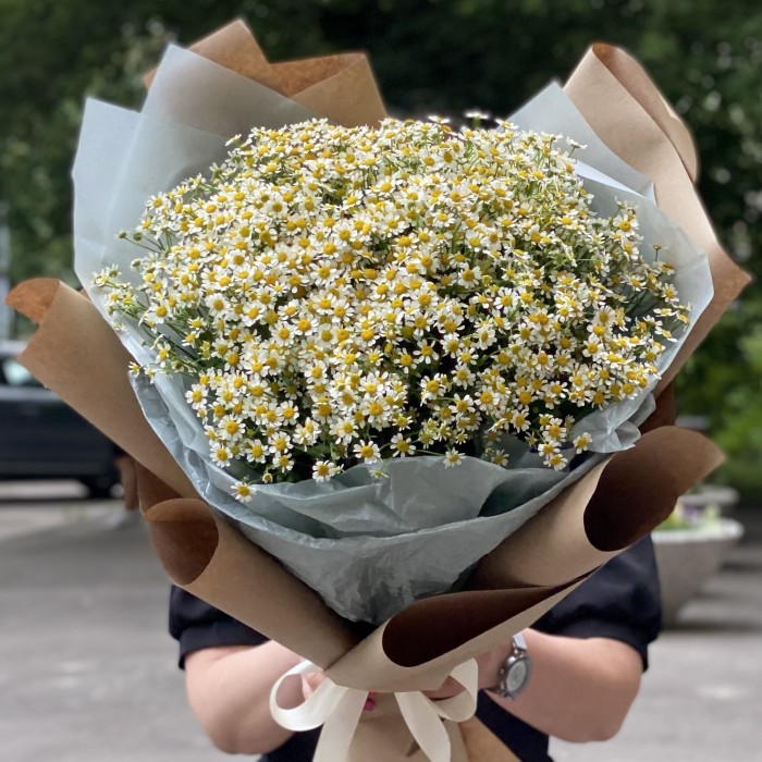 Букет из 25 ромашек