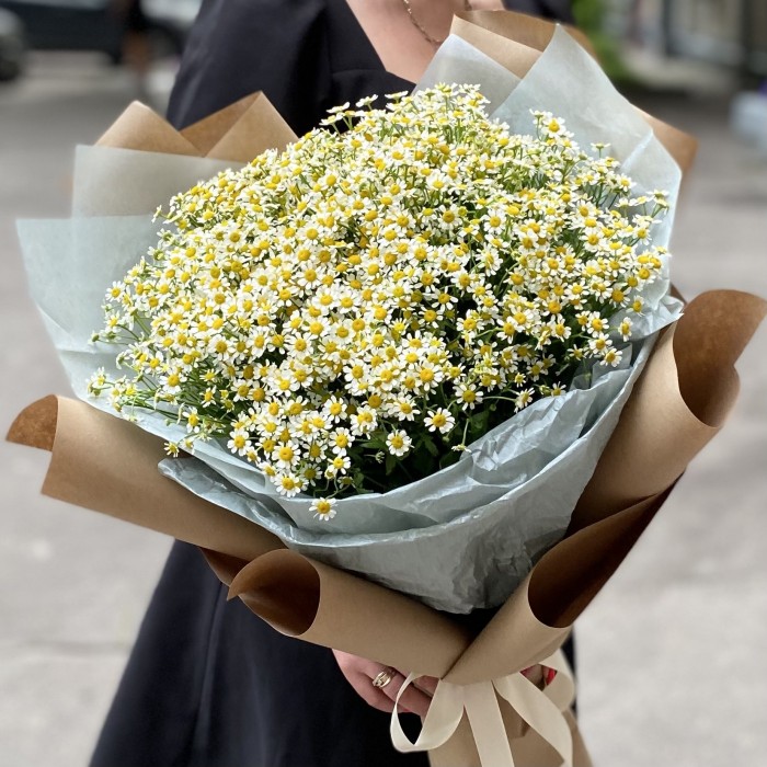 Букет из 25 ромашек