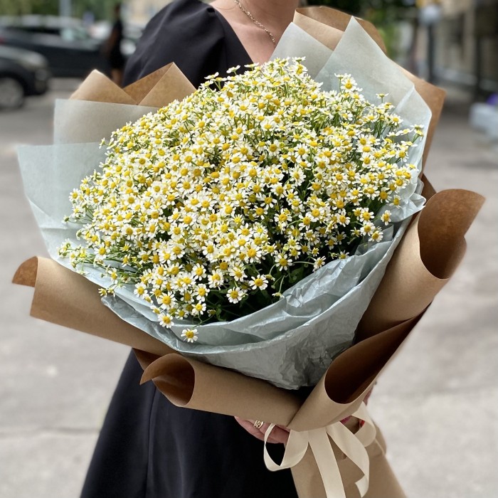 Букет из 25 ромашек