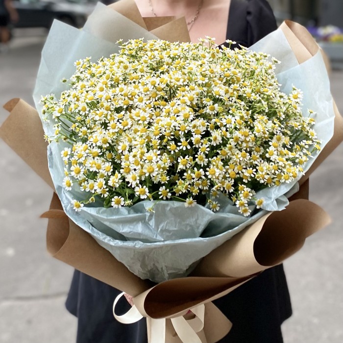 Букет из 25 ромашек
