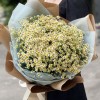 Букет из 25 ромашек