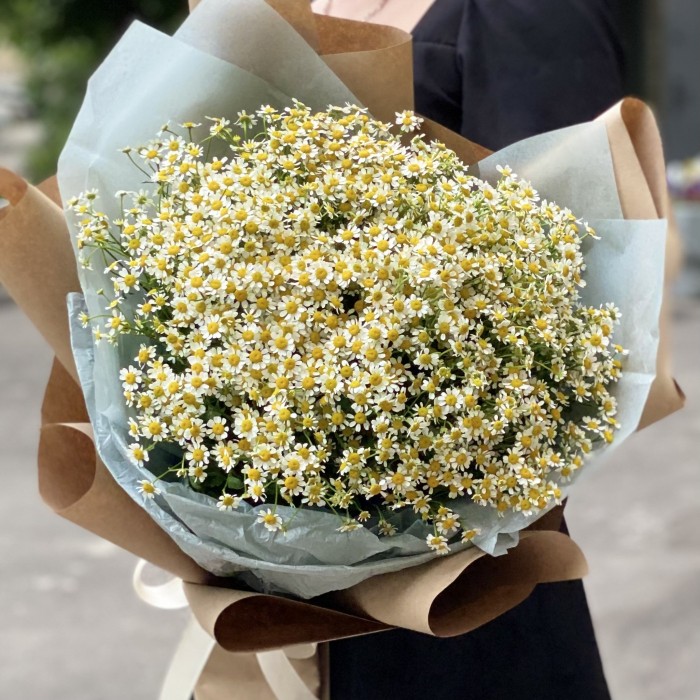 Букет из 25 ромашек