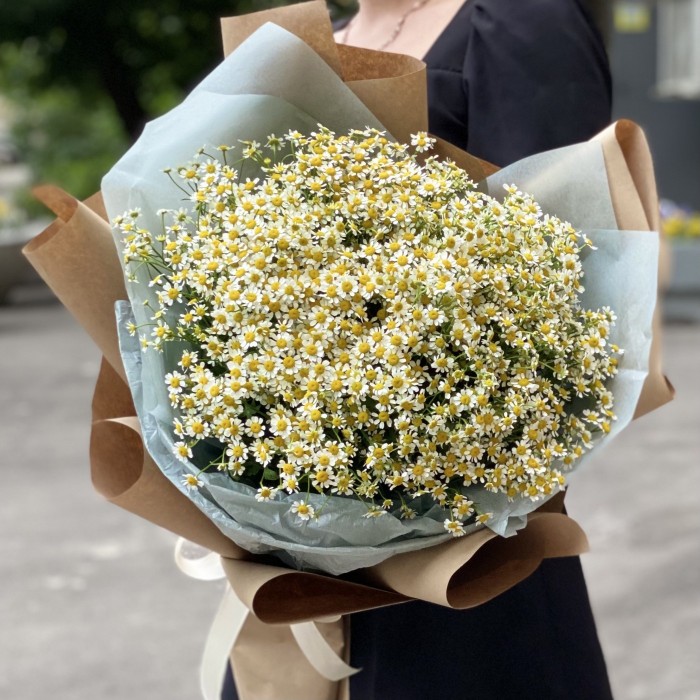 Букет из 25 ромашек