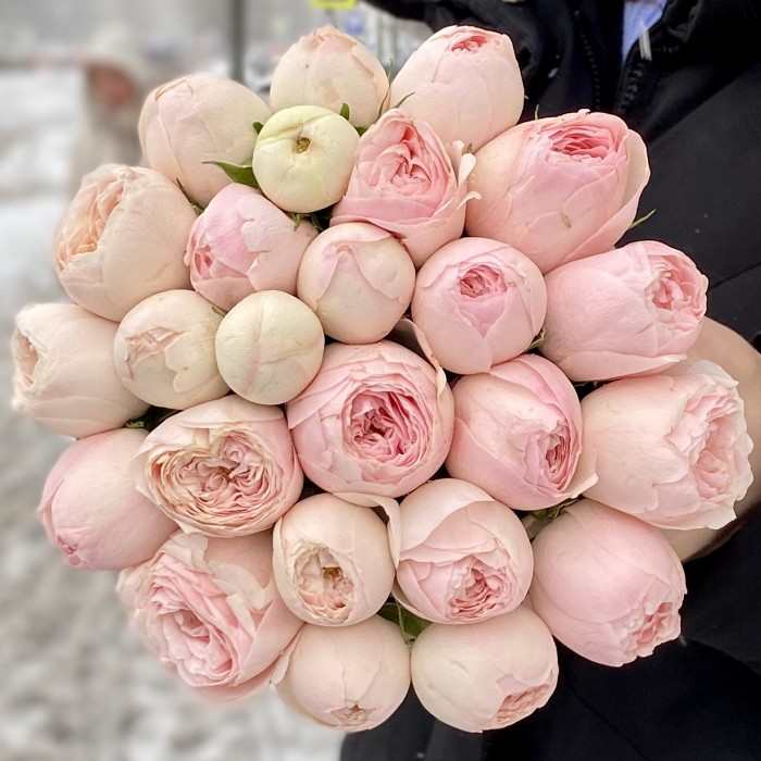 Пионовидные розы в коробке Мансфилд Парк