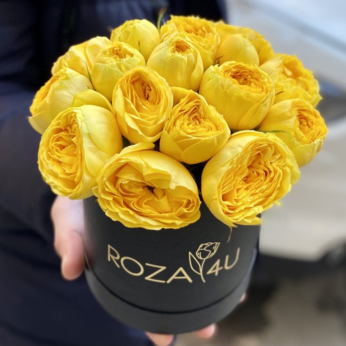 Желтые пионовидные розы в черной коробке