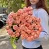 Кустовая пионовидная роза Амэйзинг мэджик