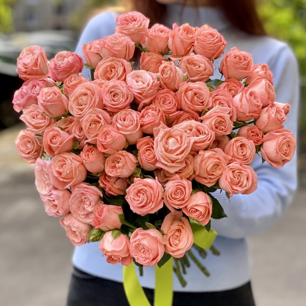 Кустовая пионовидная роза Амэйзинг мэджик