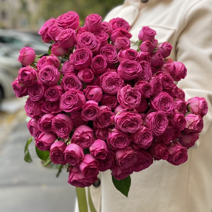 Кустовая пионовидная роза Классик Сейсейшн