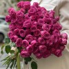 Кустовая пионовидная роза Классик Сейсейшн