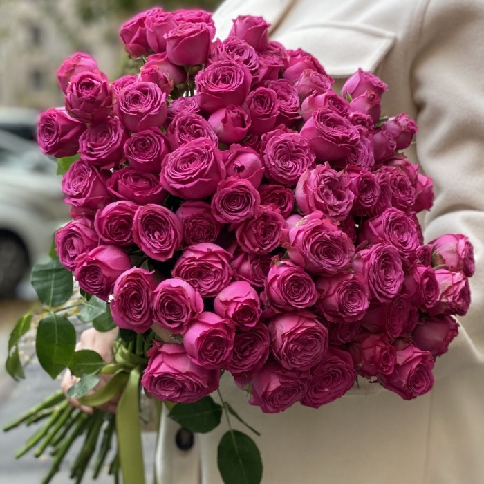 Кустовая пионовидная роза Классик Сейсейшн