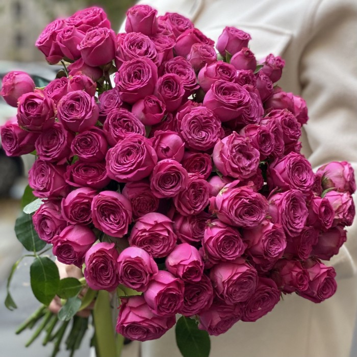 Кустовая пионовидная роза Классик Сейсейшн