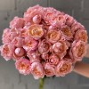Кустовая роза Джульетта