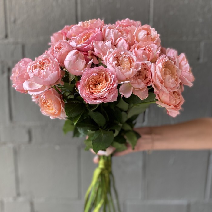 Кустовая роза Джульетта